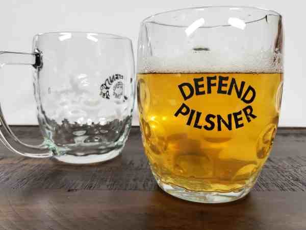 Defend Pilsner Mug
