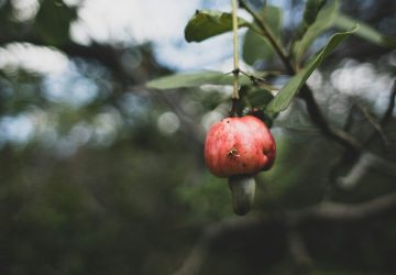 Photo by Anton Shuvalov on Unsplash.