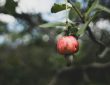 Photo by Anton Shuvalov on Unsplash.