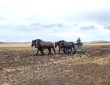 barley breeding