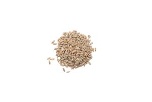 Country Malt Group
