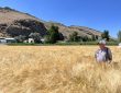 barley breeding