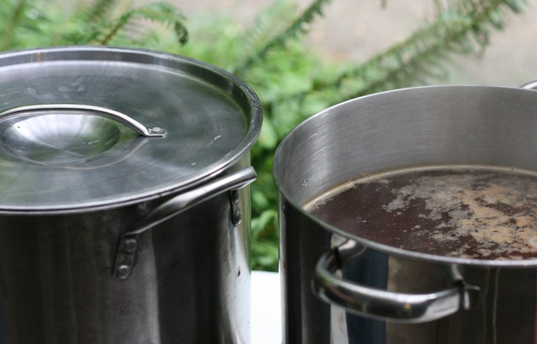 Unblemished Brewing: Basic Cleaning and Sanitizing